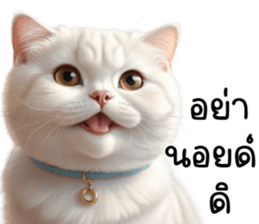653498738