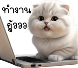653498743