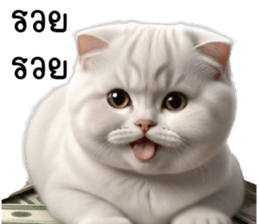 653498746