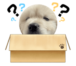 653498994