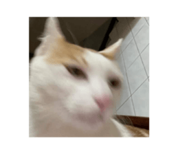 653502158