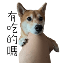 653506918