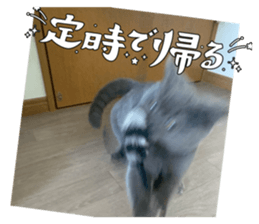653521831