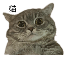 653523575