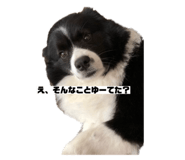 653540966