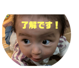 653551546