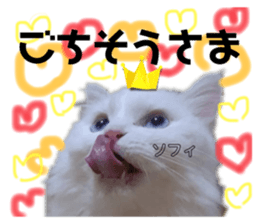 653552676