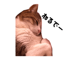 653568183