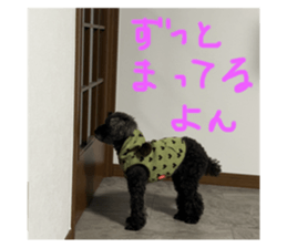 653583730