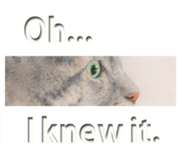 6535936