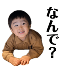 653595981
