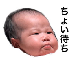 653606520