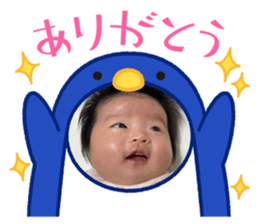 653606804
