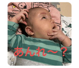 653633005