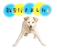 653690523