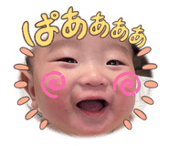 653690546