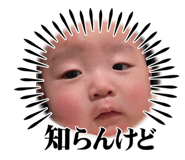 653690547