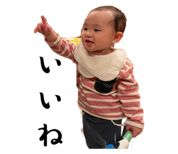 653706203