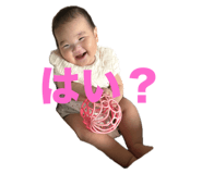 653708946