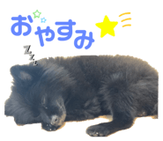 653712971