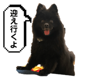 653712982