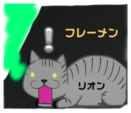 653716466