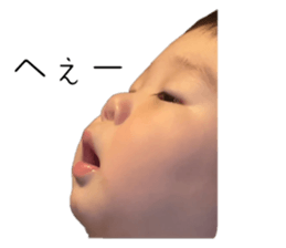 653720386