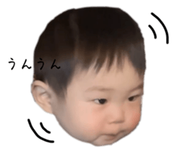 653720388