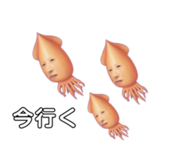 653727196