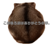 653731423