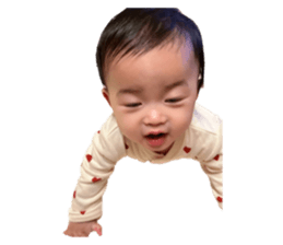 653732462