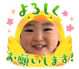 653733637
