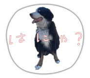 653739014