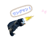 653739020