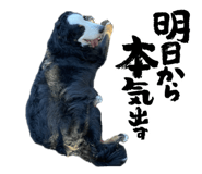 653739026