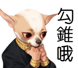 653742562