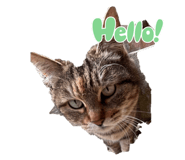 653749789