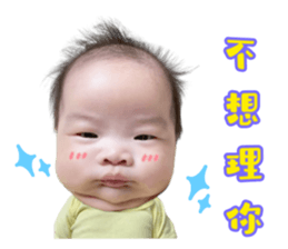 653753376
