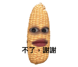 653755095