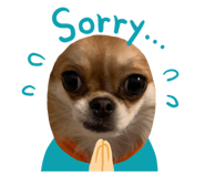 653768576