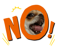 653768577