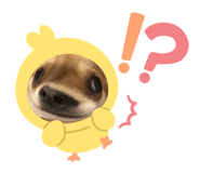 653768585