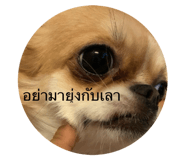 653768589