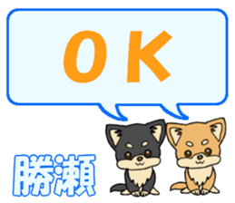 653770616