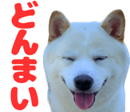 653773194