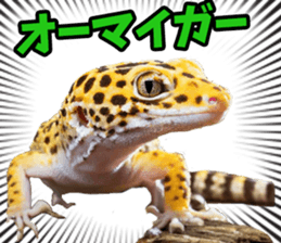 653788183