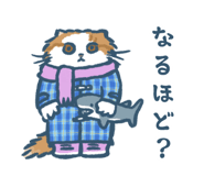 653797784