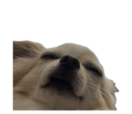 653831030