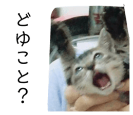 653831407