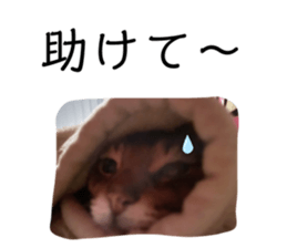 653831419